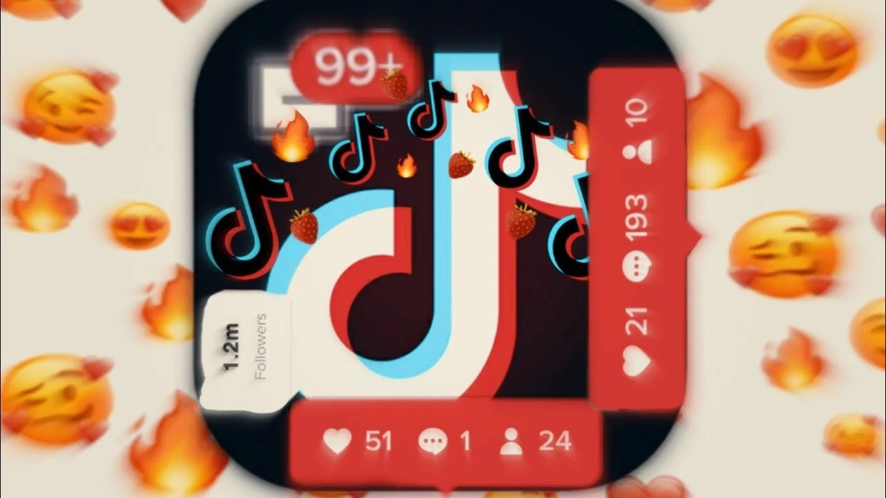 Visitas Tik Tok